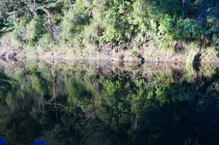 Photo of property: Swimming hole 