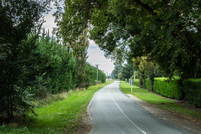 Photo of property: flat driveway