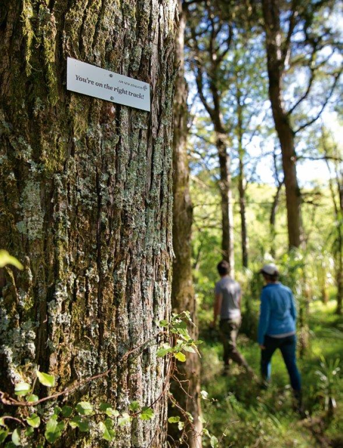 Photo of property: Explore the native bush