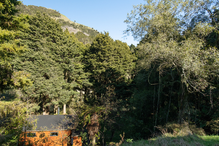 Photo of property: back view of cabin