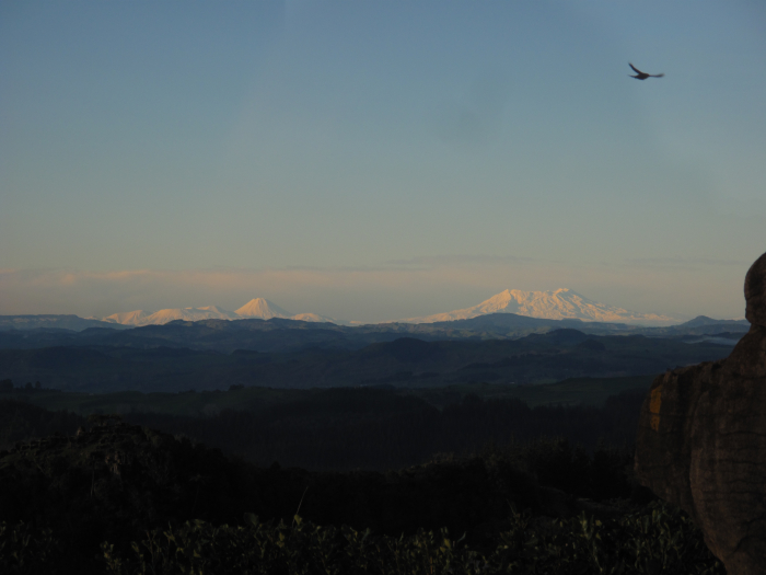 Photo of property: Tongariro National Park view from cottage