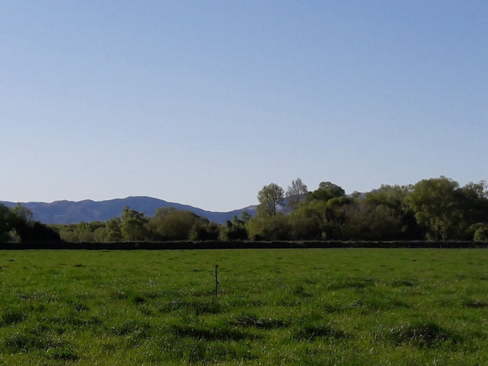 Photo of property: farmland vies