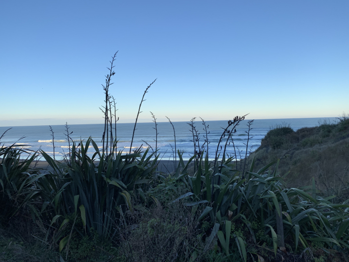 Photo of property: Early morning flax